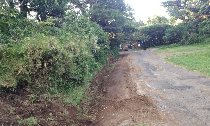 Concepcion Wohnmobilvermietung | Farm in heredia with tons of forest and great hikes