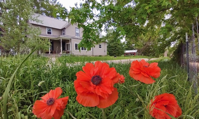 Rockfield Sonstige | Farm to Folklore - Fairytale Farmhouse