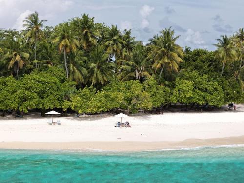 Kendhoo Haus | Fasdheythere Inn Maldives