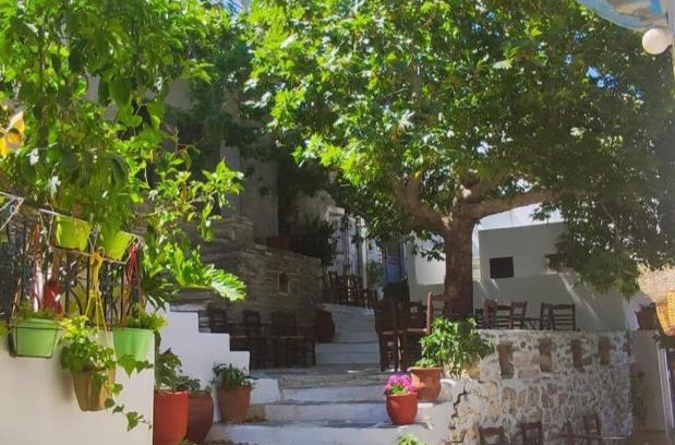 Filoti Haus | Fasolas square studio 15m2 is located 30 stairs up from the main road and it is in the old market fasolas and next to the museums