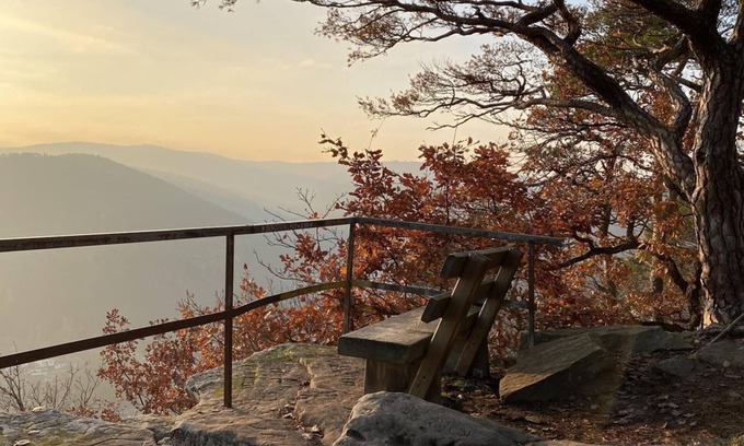 Neustadt an der Weinstrasse Wohnung | Ferienwohnung Wolfsberg - Appartement/Fewo, Dusche und Bad, WC, Erdgeschoß/P