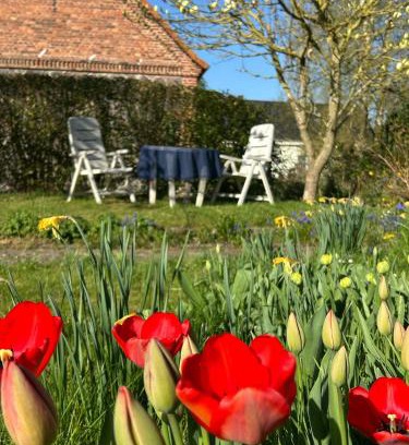 Gnevkow Haus | Ferien Gnevkow 45 - Mit dem Zug direkt ins Grüne - Entspannung inklusive