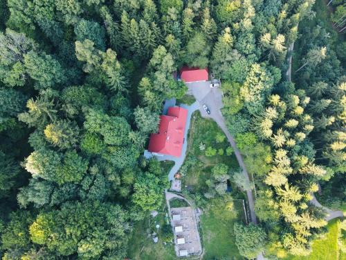 Klaffer am Hochficht Wohnung | Ferienwohnung Huskyhausen - Schlittenhunde Erlebnisse & Urlaub mitten in der Natur!