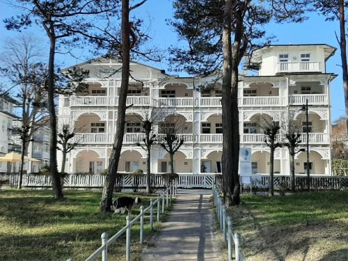 Binz Wohnung | Ferienwohnung Ostseeblick in der Villa Seeadler Binz