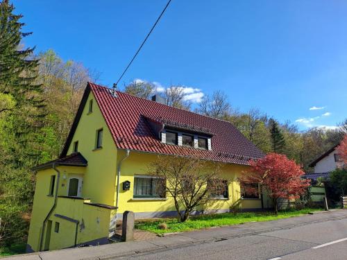 Bad Marienberg Wohnung | Ferienwohnung Rosenthal