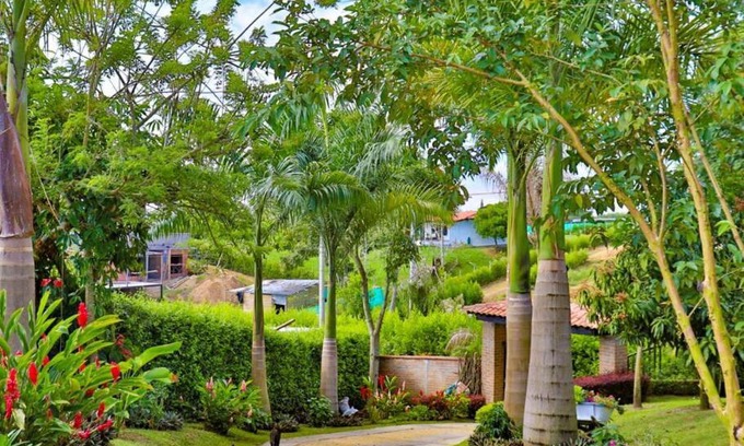 Quimbaya Haus | FINCA LOS ARREBOLES