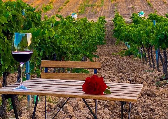 Burujon Haus | FINCA VALDELAJARA a 20 minutos de Puy du Fou