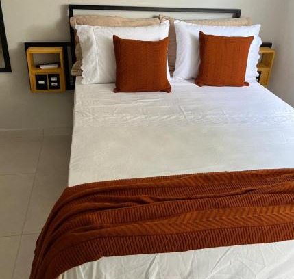 Jardim Ipe Wohnung | Flat com ar, Vista para o Ibituruna - Rio Doce - 202