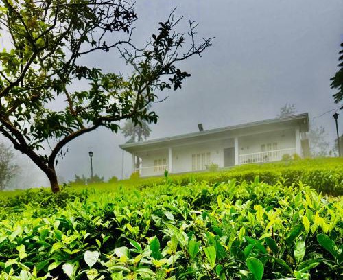 Pirmed Haus | Four Winds Plantation Homestay Approved by Dept of Tourism Govt of Kerala