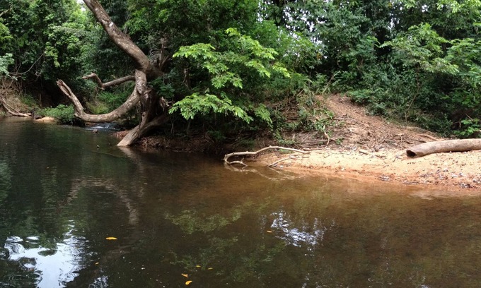 Hopkins Kabine | Freshwater Creek Cabin, Natur und Vogelbeobachtung direkt von Ihrer Veranda.
