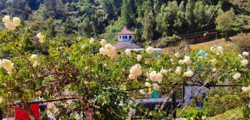 Kodaikanal Haus | Frozen Monks