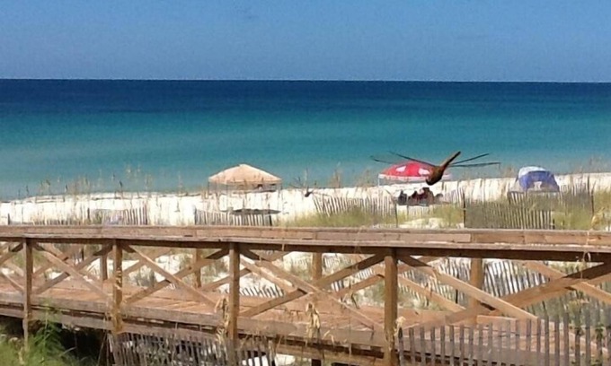 Port St. Joe Haus | FUNSEEKER- 5 STERNE IMMOBILIEN! 49 SEK. ZUM STRAND GOLF VIEW-PETS OK