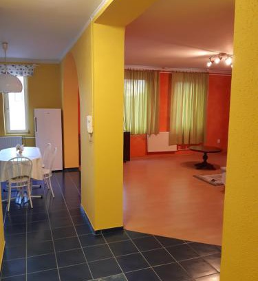 Dunafoldvar Wohnung | Gábor Pál 1 Apartman 1 szoba