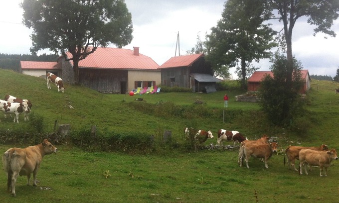 Bellecombe Haus | Gîte 3 ch. 10 Pers. Sans Voisin sur 30 Hectares