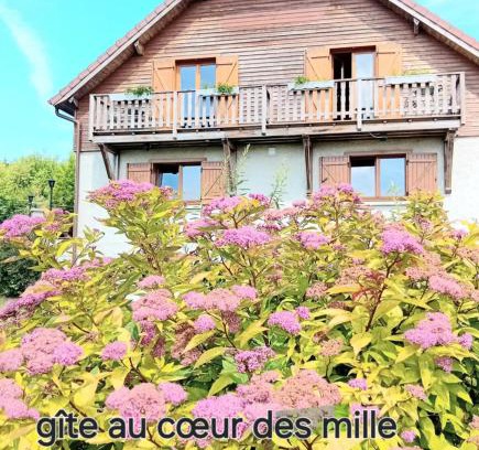 Saint-Bresson Haus | gîte des 1000 étangs