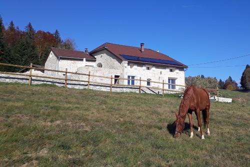 Lamoura Haus | Gîte des 3 Marches