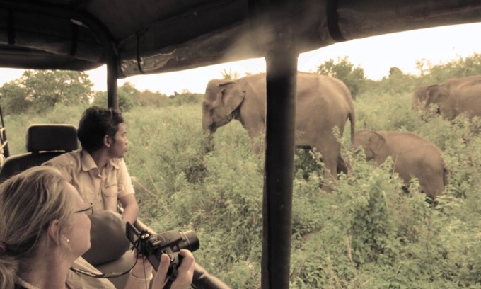 Udawalawa Wohnmobilvermietung | Gamping in Style bordering Udawalawe National park