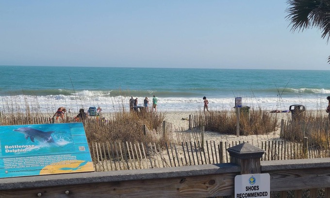 Coastal South Carolina Haus | Gateway to Myrtle Beach and the closest rental to Coastal Carolina University!