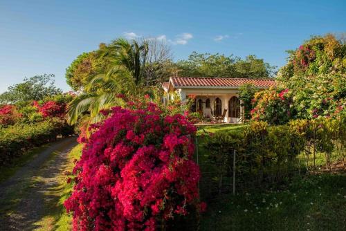 Tilaran Haus | Gateway to Paradise