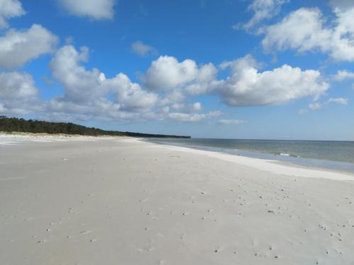 Dueodde Wohnung | Gemütliche Wohnung in Strandnähe
