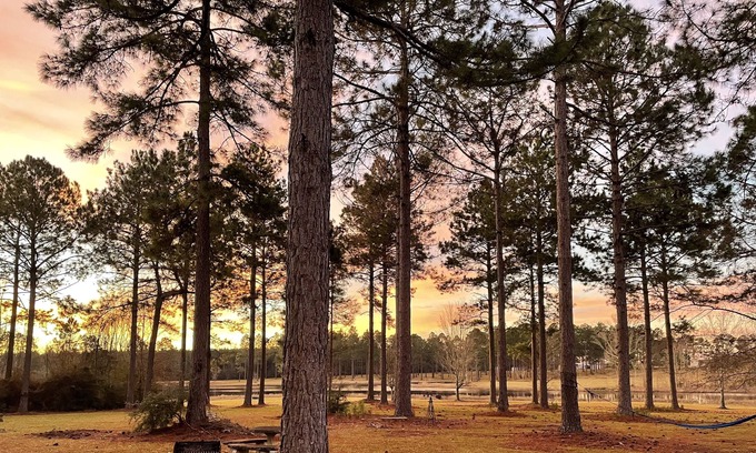 Poplarville Kabine | Getaway Cabin by the Water