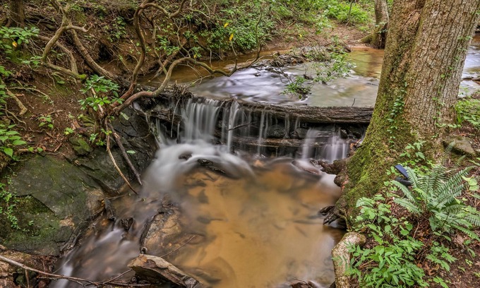 Tate Kabine | Gingershack Farms