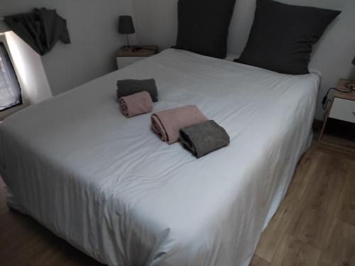 Montcuq Haus | gite de la tour