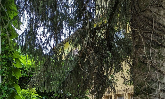 Verdun-sur-le-Doubs Haus | Gite DES 3 Rivieres
