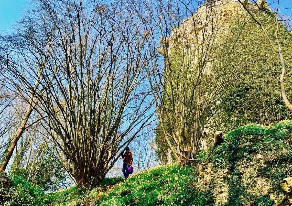 Tournebu Haus | Gite nadège à l Ombre d'une Tour