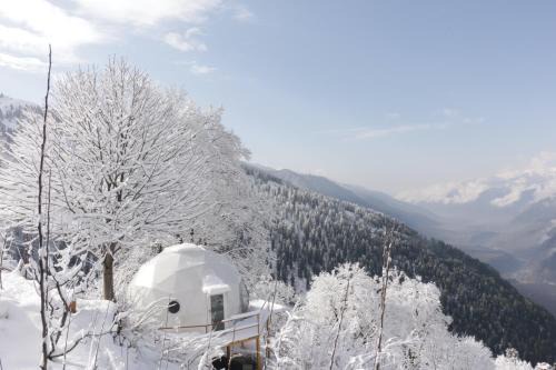 Manali Sonstige | GlampEco Manali