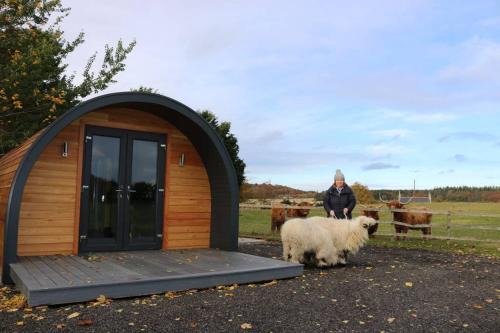 Elgin Haus | Glampods Glamping Pod - meet Highland Cows and Sheep Elgin