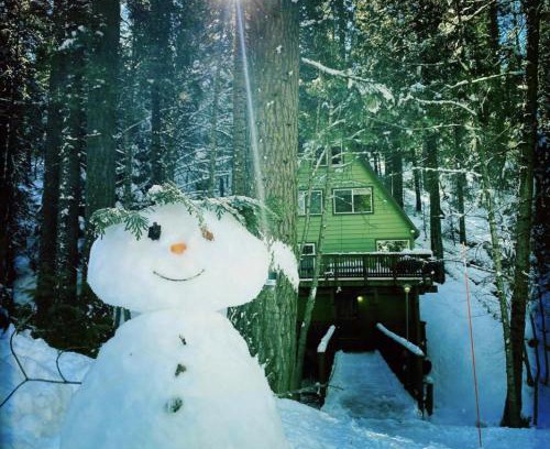 Camp Connell Haus | Glorious Summer at Cabin on the Creek