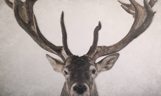 Nekoosa Haus | Golfers, boaters, hunters, this spot is for you! Quiet, Cozy, and Clean!!