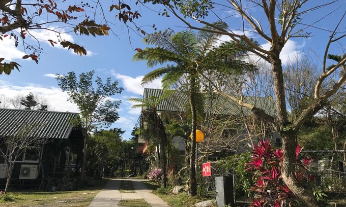 Luye Haus | Goose House