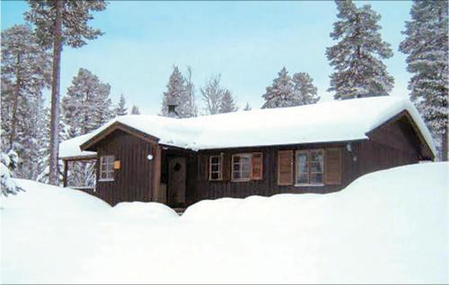 Fjatervalen Haus | Gorgeous Home In Särna With Kitchen