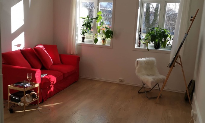 Grunerlokka Eigentumswohnung | Grünerløkka: unique flat in hype area