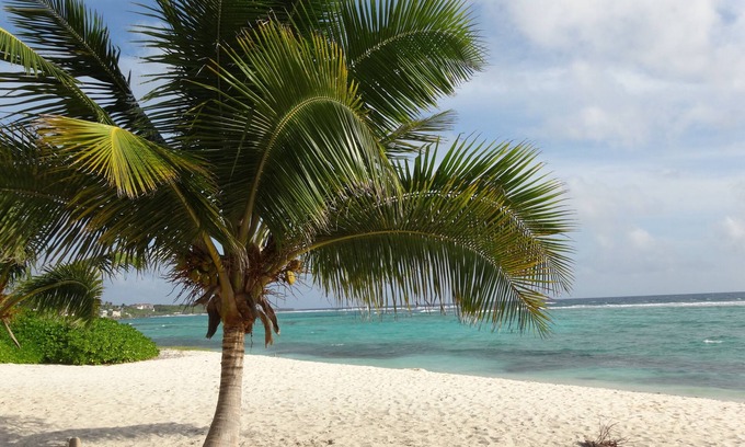 Bodden Town Eigentumswohnung | Grand Cayman - Luxus-Apartment mit 2 Schlafzimmern und 2 Badezimmern, wundervolle Terrasse mit Meerblick