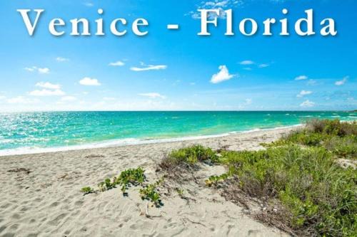 Venice Haus | Great Shape After Milton-pool Home Wows! Po