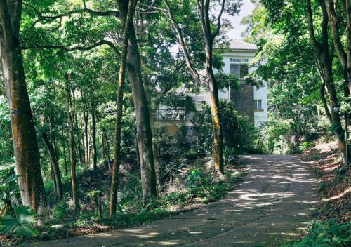 Sanyi Haus | Green Wave Sanyi BY REINDEER