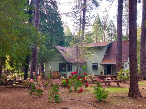 Placerville Villa | Groovy Cabin in the Woods