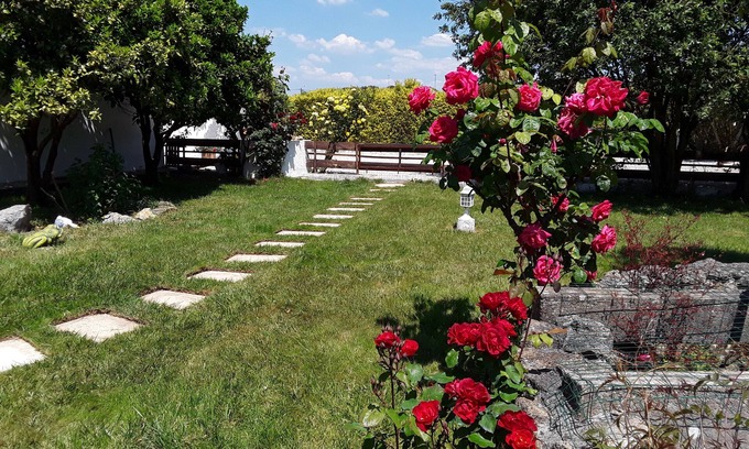 Alcobaca Bed & Breakfast | Guest House Bed & Breakfast-QUARTO-de Hospedes. NAZARÉ- ALCOBAÇA.
