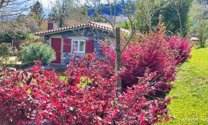 Penafiel Haus | Guest House - Quinta da Giesteira quiet Country House with private outdoor spa in Penafiel, Oporto