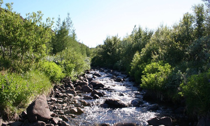 Hallormsstadur Haus | Guesthouse Grái Hundurinn