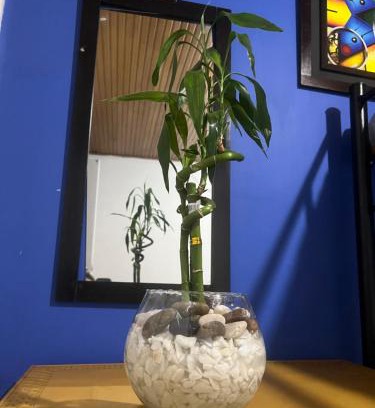 Usaquen Hotel | Habitaciones tranquilas Usaquen