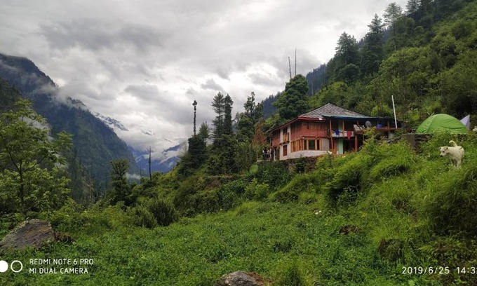 Kullu Haus | Hakuna matata - by Timon & pumba
