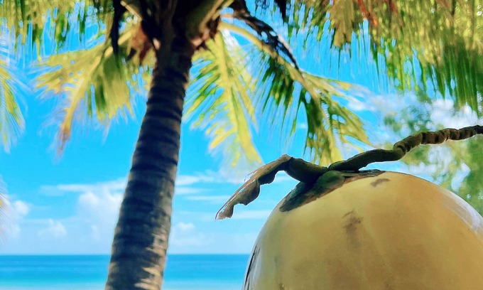 Wanning Hotel | harbor Surf Hotel