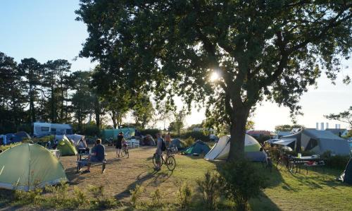 Hasle Sonstige | Hasle Camping (Empty Lots)