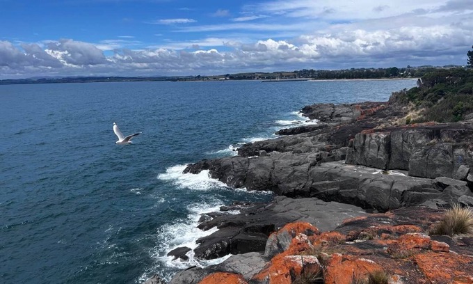 Devonport Kabine | Have a Tasmanian adventure—beautiful scenery/plenty of room options