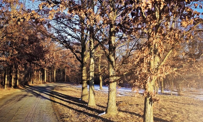 Noblesville Kabine | Haven in the City