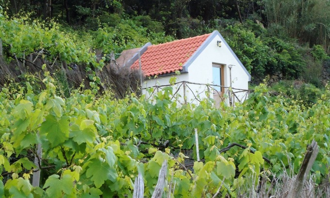 Sao Vicente Haus | Heuhaufen - Familie Garcês